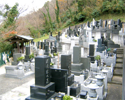 緑豊かな沼津霊園風景